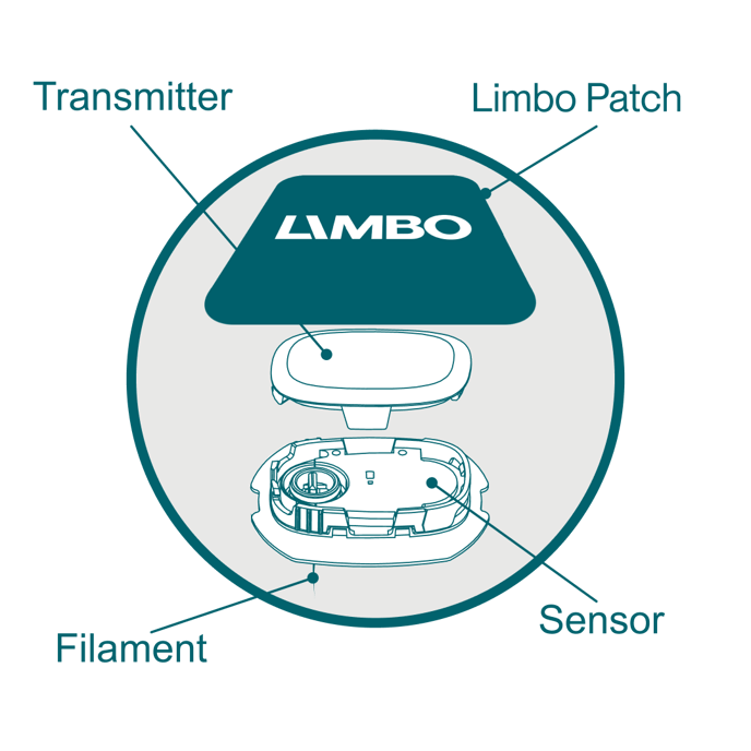 Exploded Limbo-1